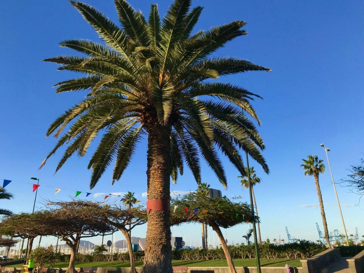 Apartamento Muelle Deportivo Las Palmas de Gran Canaria Exteriör bild